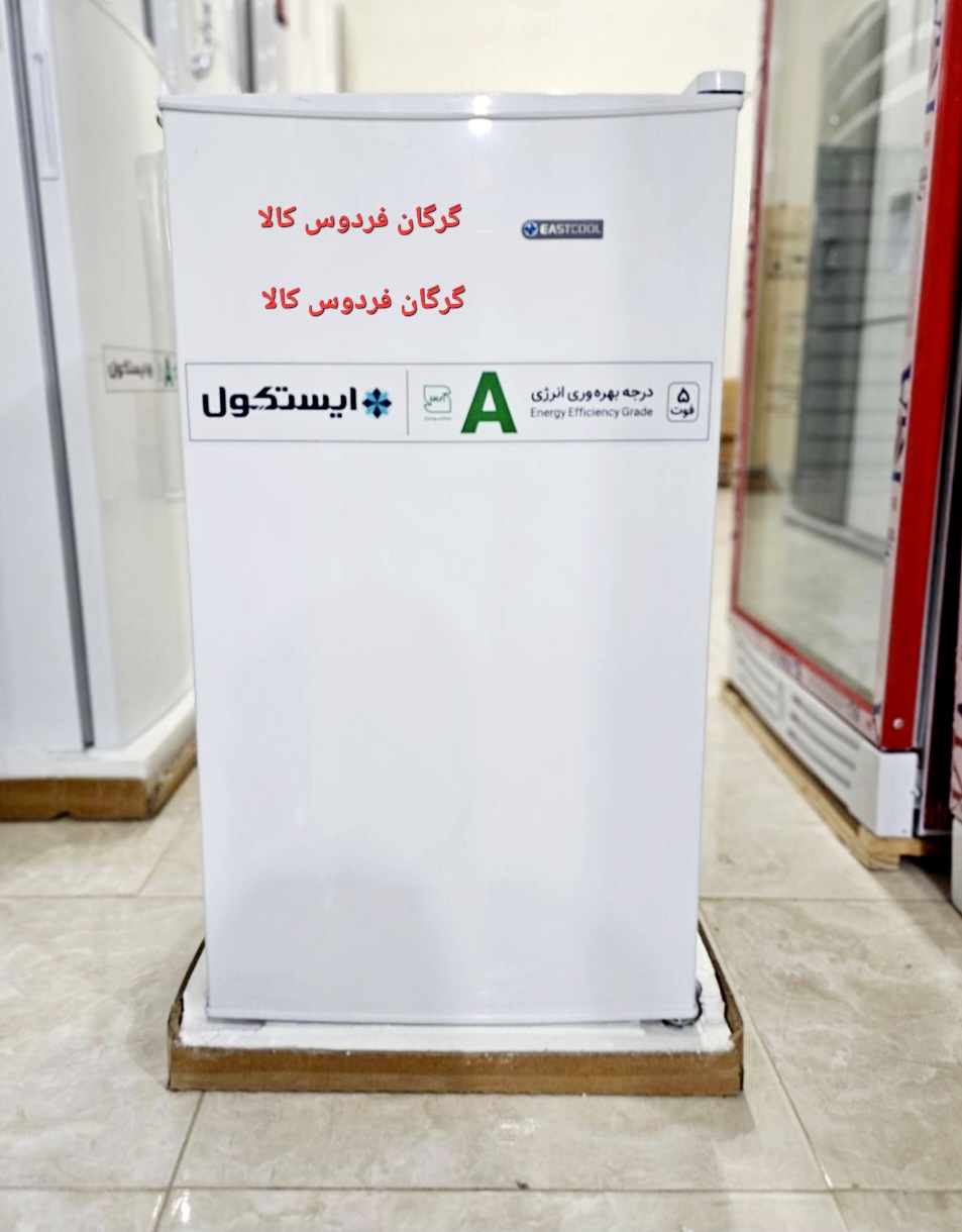 یخچال ایستکول مدل TM 919